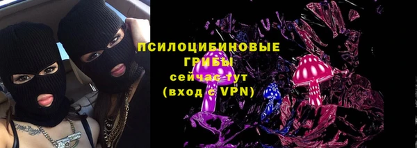 мет Вяземский