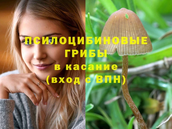 apvp Вязьма