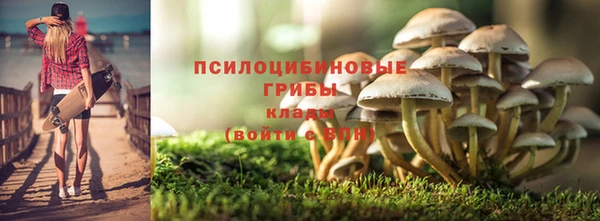 гидра Ханты-Мансийск