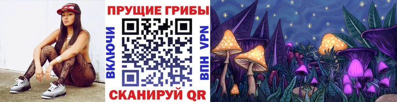 Галлюциногенные грибы Psilocybine cubensis  Елец 