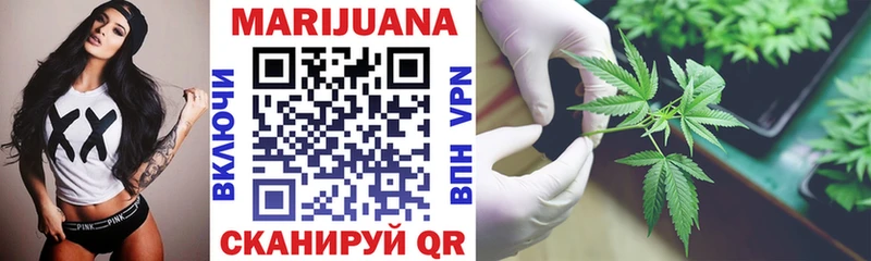 Шишки марихуана SATIVA & INDICA ОМГ ОМГ ССЫЛКА Елец